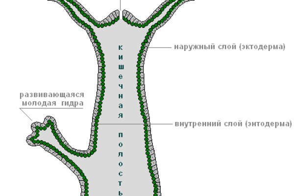 Кракен в россии наркотик